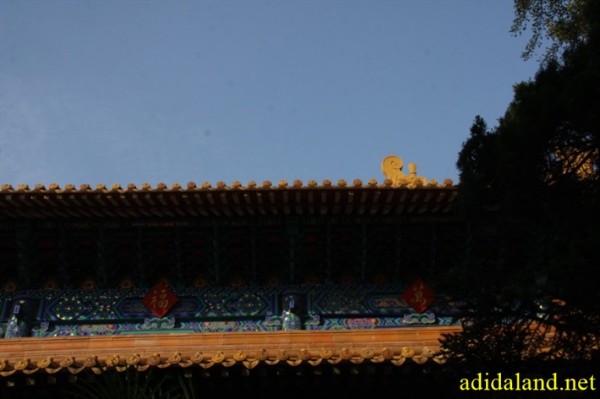 Hanh_huong_Tu_Dai_Danh_Son_2009 (194).jpg