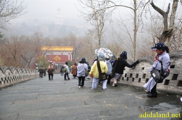 Hanh_huong_Tu_Dai_Danh_Son_2009 (356).jpg