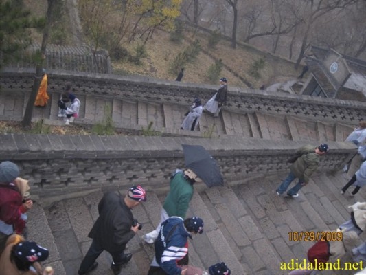 Hanh_huong_Tu_Dai_Danh_Son_2009 (393).jpg