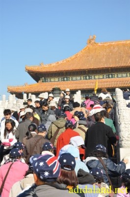 Hanh_huong_Tu_Dai_Danh_Son_2009 (444).jpg