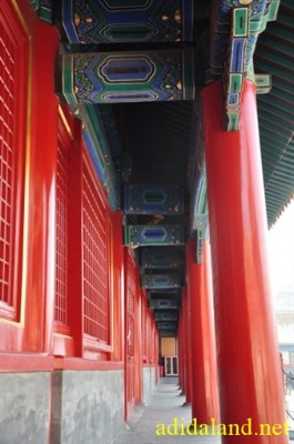 Hanh_huong_Tu_Dai_Danh_Son_2009 (458).jpg