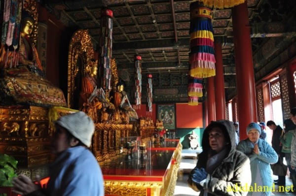 Hanh_huong_Tu_Dai_Danh_Son_2009 (491).jpg