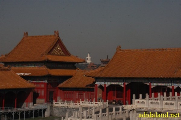 Hanh_huong_Tu_Dai_Danh_Son_2009 (552).jpg