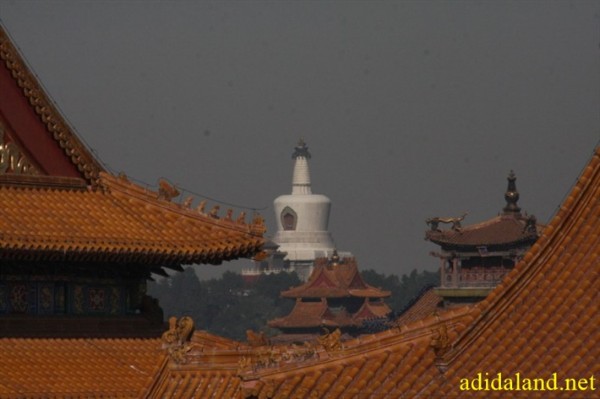 Hanh_huong_Tu_Dai_Danh_Son_2009 (553).jpg
