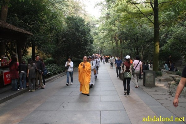 Hanh_huong_Tu_Dai_Danh_Son_2009 (670).jpg