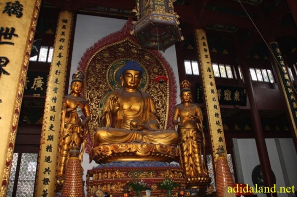 Hanh_huong_Tu_Dai_Danh_Son_2009 (699).jpg