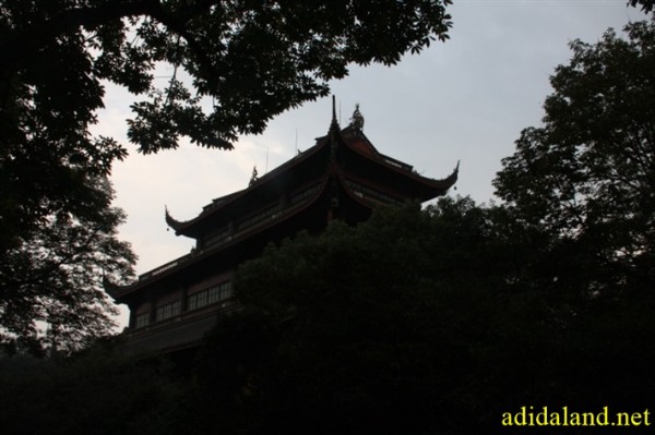 Hanh_huong_Tu_Dai_Danh_Son_2009 (714).jpg