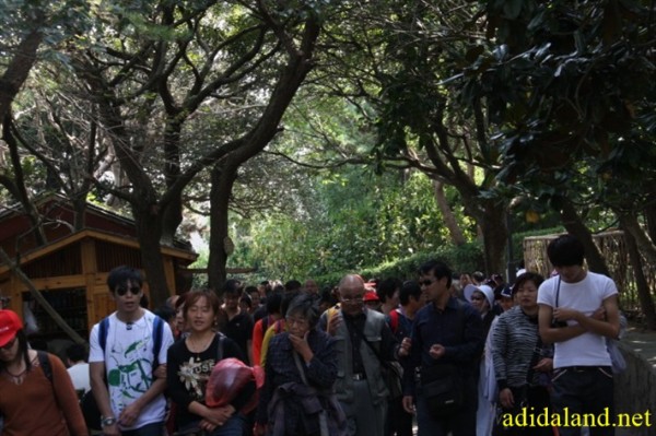Hanh_huong_Tu_Dai_Danh_Son_2009 (99).jpg