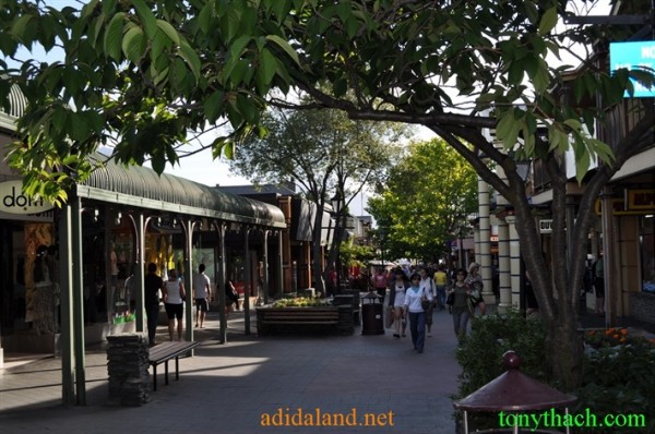 Tan_Tay_Lan_2010 (103).JPG