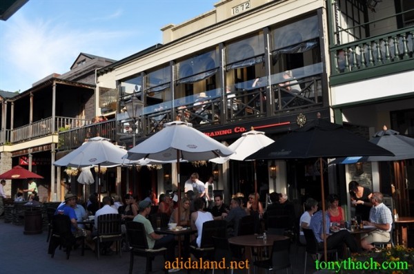 Tan_Tay_Lan_2010 (105).JPG