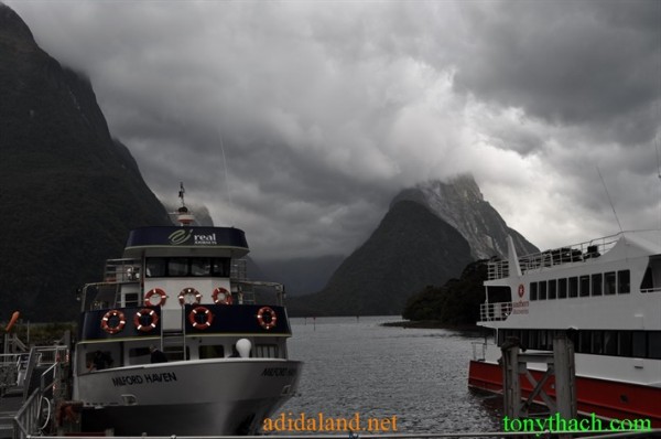 Tan_Tay_Lan_2010 (122).JPG