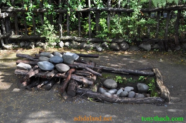 Tan_Tay_Lan_2010 (250).JPG