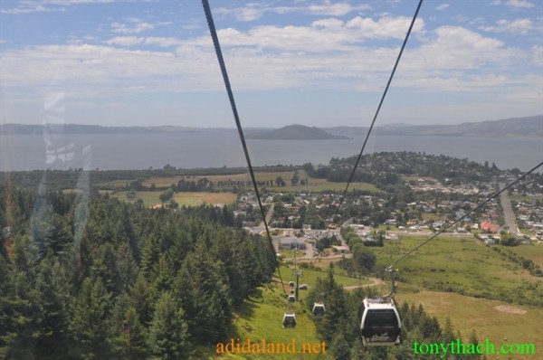 Tan_Tay_Lan_2010 (354).JPG