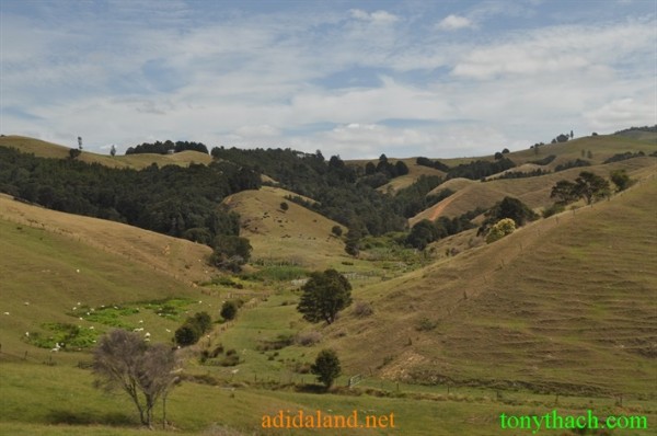 Tan_Tay_Lan_2010 (364).JPG
