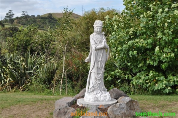 Tan_Tay_Lan_2010 (376).JPG