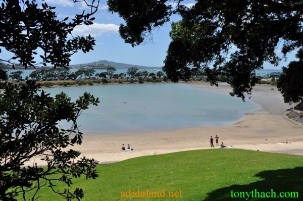 Tan_Tay_Lan_2010 (403).JPG