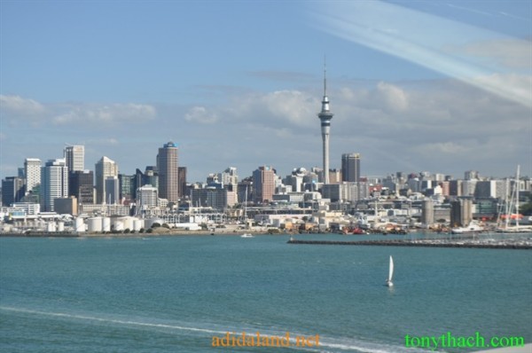 Tan_Tay_Lan_2010 (424).JPG