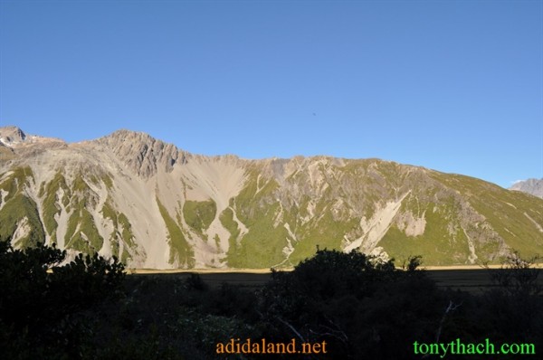 Tan_Tay_Lan_2010 (51).JPG