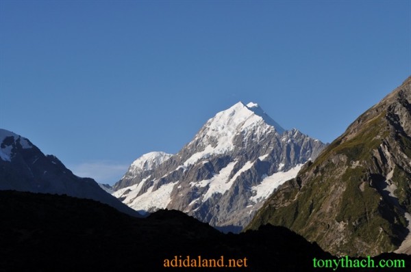 Tan_Tay_Lan_2010 (53).JPG