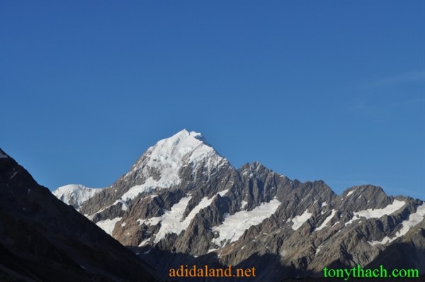 Tan_Tay_Lan_2010 (58).JPG