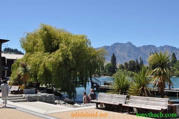 Tan_Tay_Lan_2010 (89).JPG