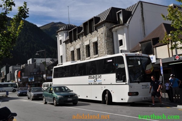 Tan_Tay_Lan_2010 (99).JPG