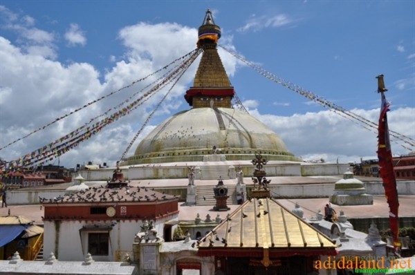 Hanhhuong_Bhutan_2013 (117).jpg
