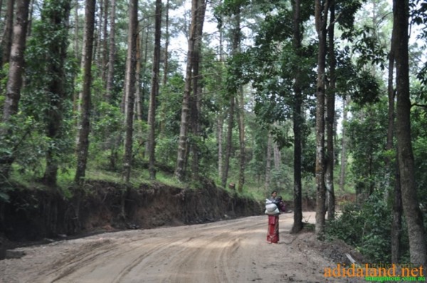 Hanhhuong_Bhutan_2013 (12).jpg