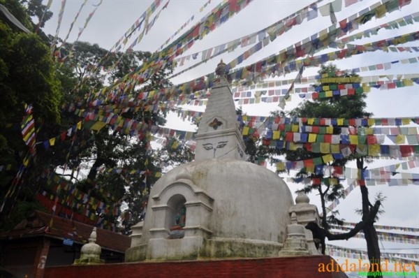 Hanhhuong_Bhutan_2013 (128).jpg