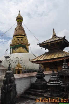 Hanhhuong_Bhutan_2013 (142).jpg