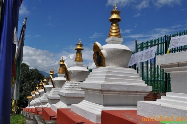 Hanhhuong_Bhutan_2013 (36).jpg