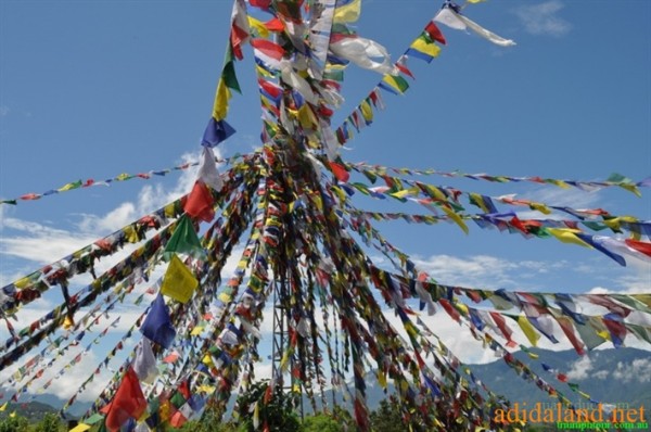 Hanhhuong_Bhutan_2013 (39).jpg