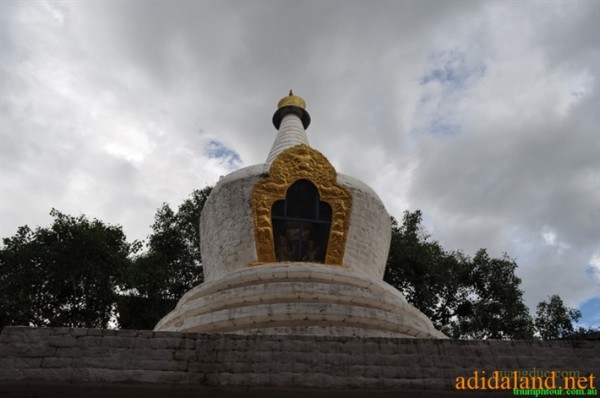 Hanhhuong_Bhutan_2013 (407).jpg