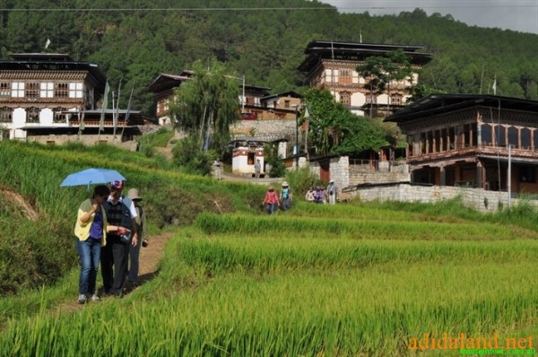 Hanhhuong_Bhutan_2013 (431).jpg