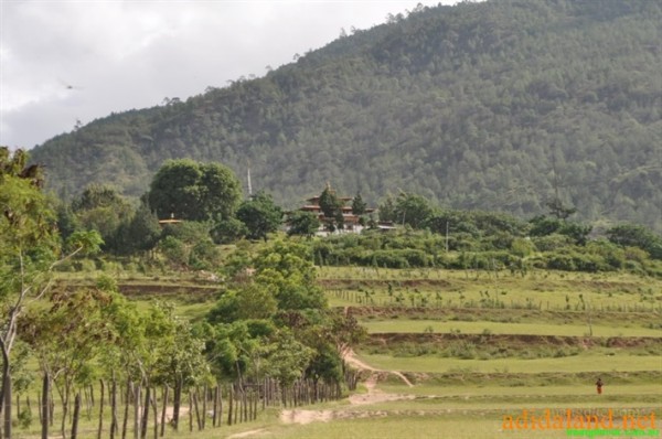 Hanhhuong_Bhutan_2013 (444).jpg