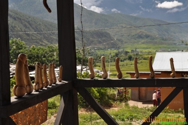 Hanhhuong_Bhutan_2013 (458).jpg