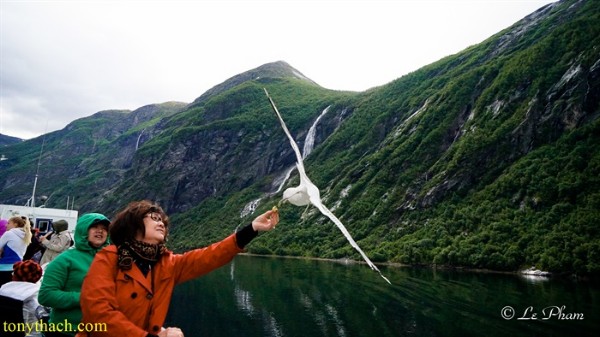 2015.07.11 Norway Best 1026.jpg