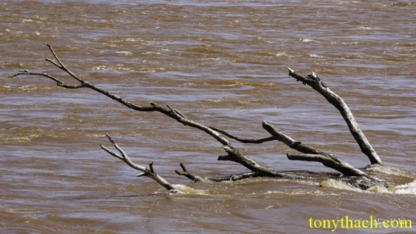 01.Iguazu (12).jpg