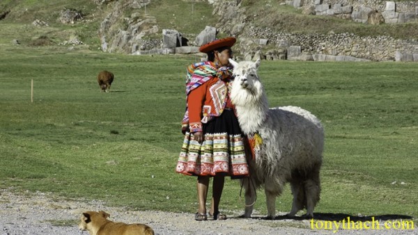 07. Machu Pichu (25).jpg